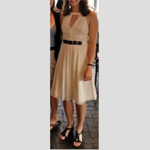 Gorgeous cream Ted Baker cocktail dress